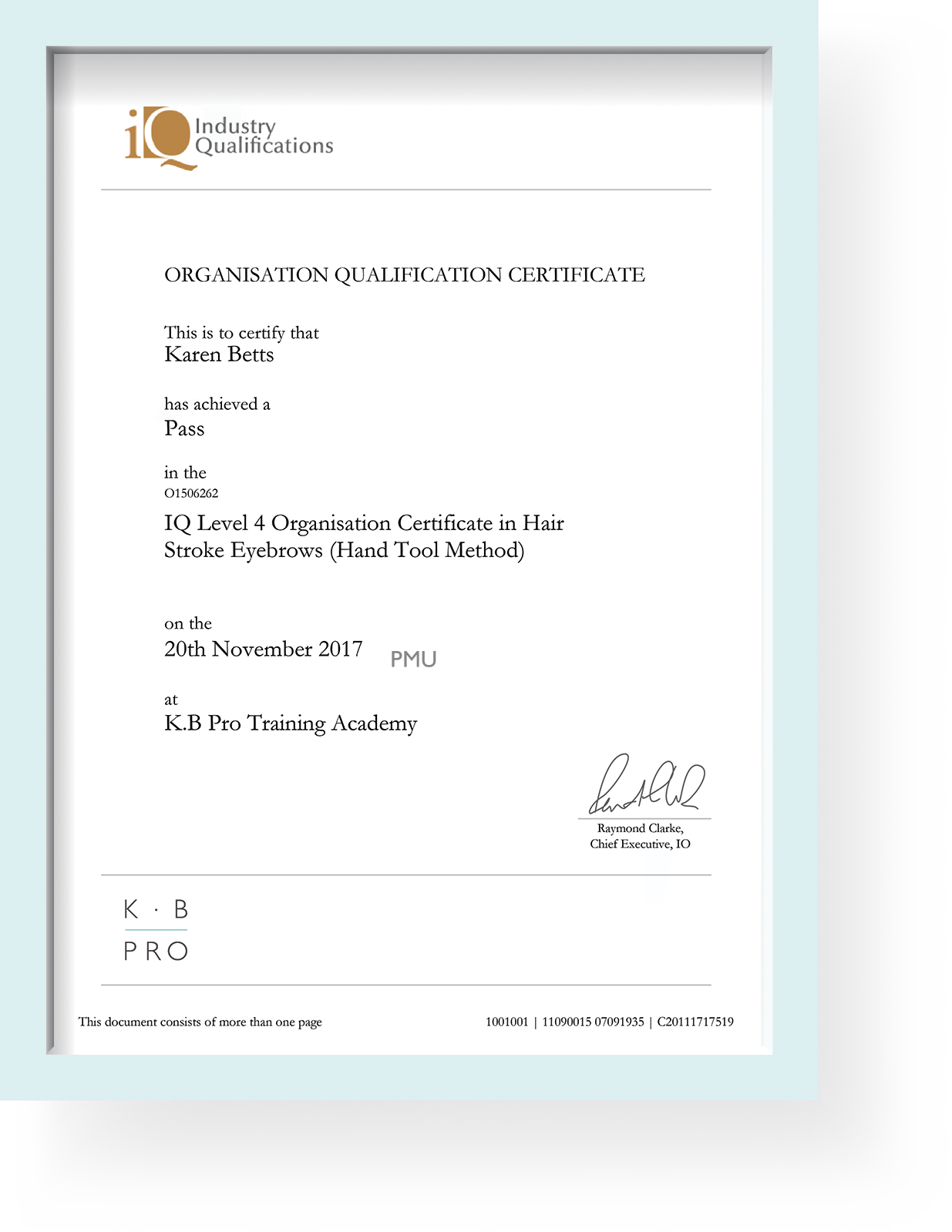 Level 4 Permanent Makeup Qualifications K.B Pro